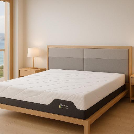 Colchón sport adapta  [1]