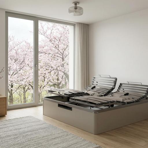 Canapé Abatible Gran Capacidad con Somier Articulado Eléctrico de Doble Motor [0]