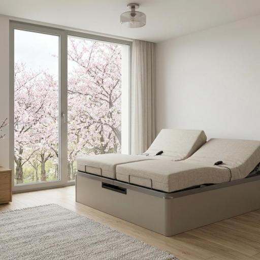 Canapé Abatible Gran Capacidad con Somier Articulado Eléctrico de Doble Motor [2]