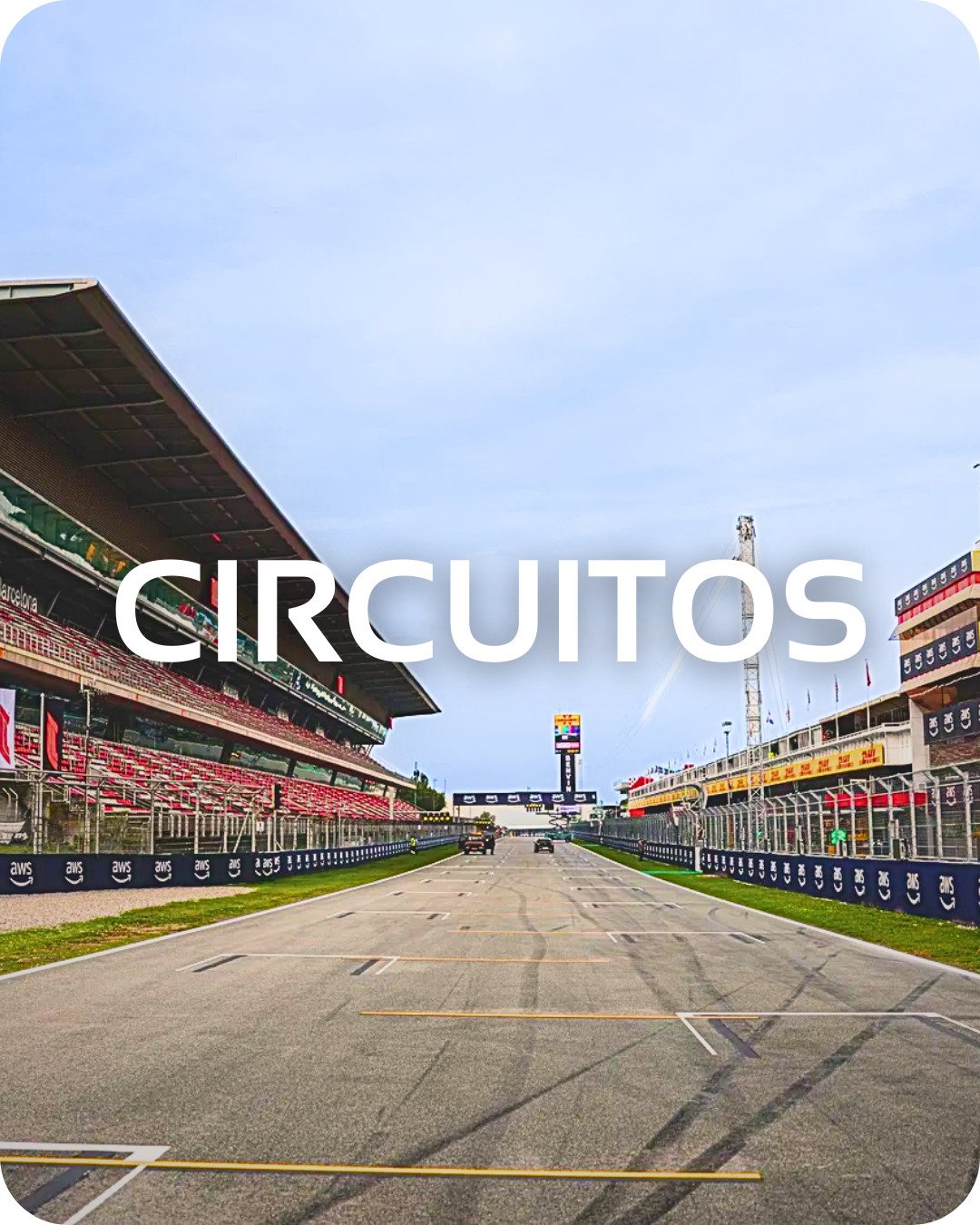 Camisetas de circuitos