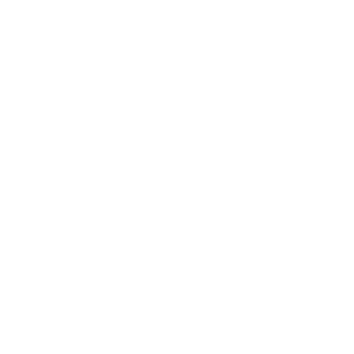 racingteam white.png