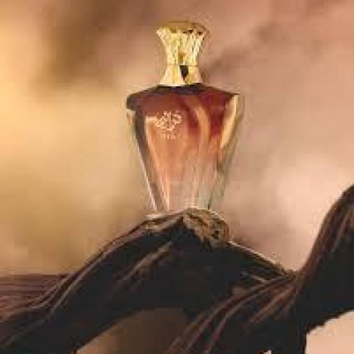 Afnan Turathi Homme Brown EDP M 90 ml [5]