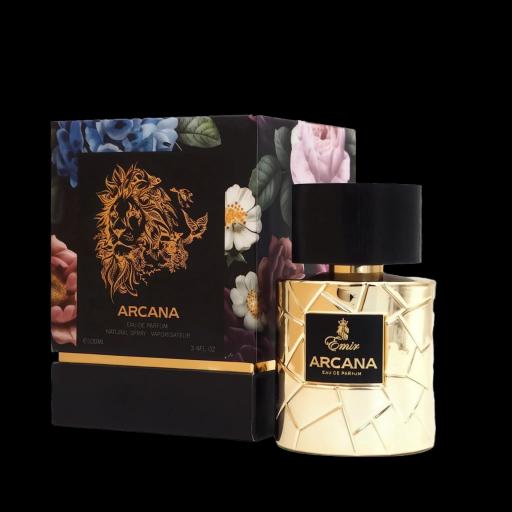 Paris Corner Emir Arcana EDP M 100 ml [0]