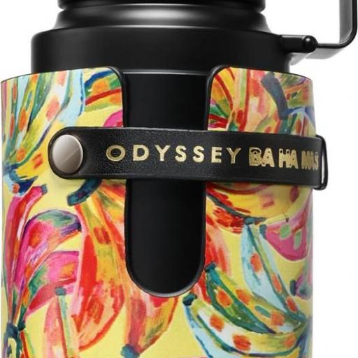 Armaf Odyssey BA HA MAS EDP U 100 ml [1]