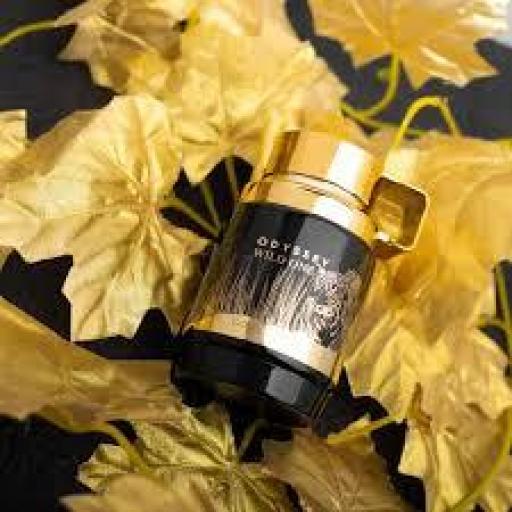 Armaf Odyssey Wild One Gold Edition EDP M 100 ml [3]