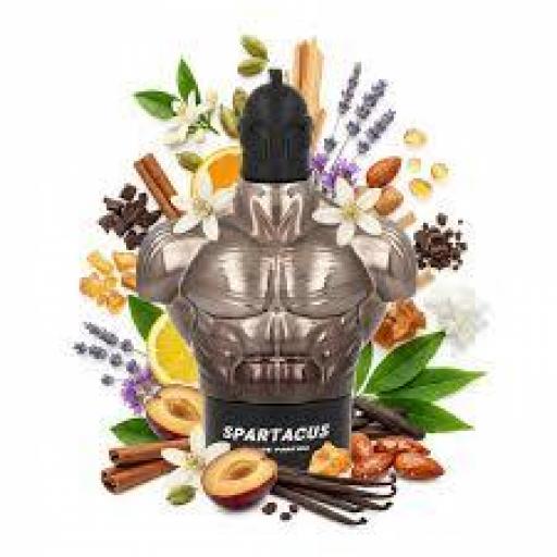 Armaf Spartacus EDP M 100 ml [4]