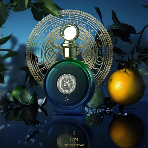Paris Corner North Stag Expressions I Eau de Parfum Unisex 100ml [2]