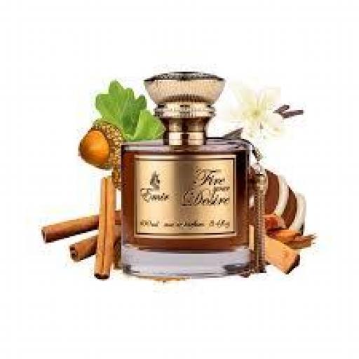 Paris Corner Emir Fire Your Desire EDP U 100 ml [2]