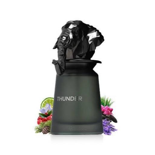 French Avenue Thunder EDP M 100 ml [4]