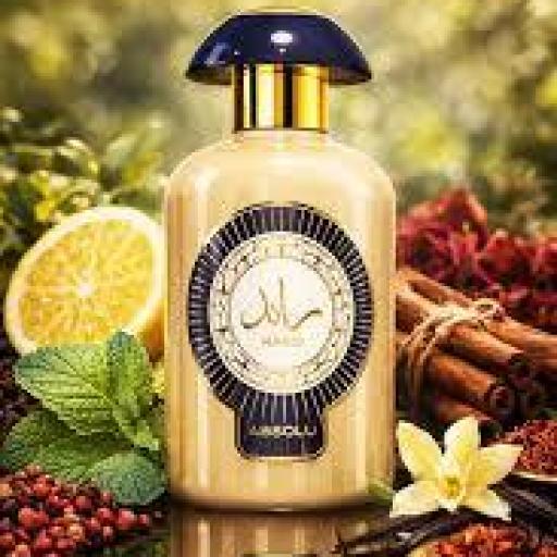 Lattafa Ra’ed Absolu EDP 100 ml [1]