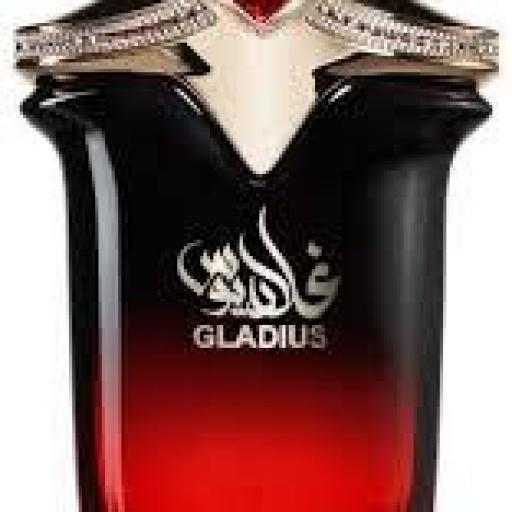 Nusuk Gladius PAR U 100 ml [1]
