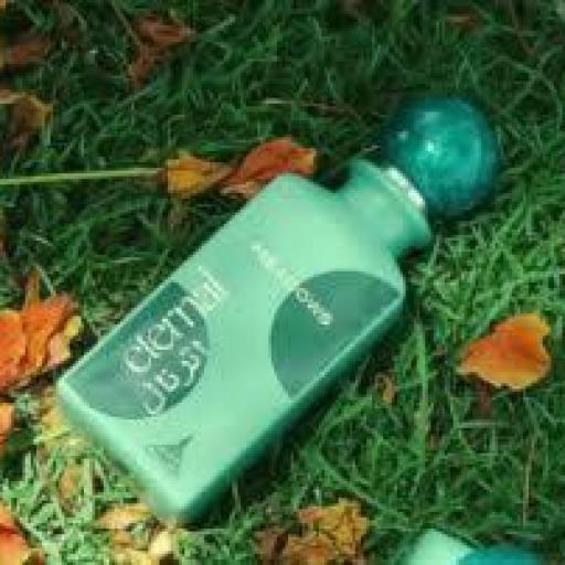 Paris Corner Eternal Meadows EDP U 85 ml [3]