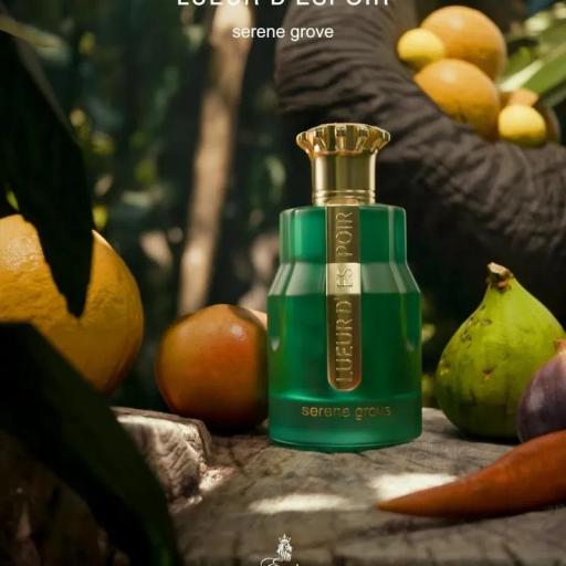 Paris Corner Emir Lueur D'Espoir Serene Grove EDP U 100 ml [1]