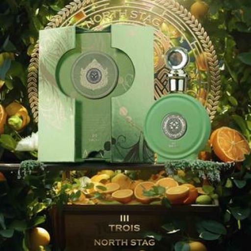North Stag Expressions III Trois eau de parfum para hombres 100 Ml [2]