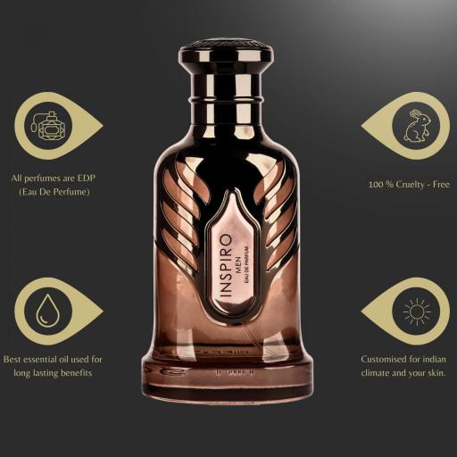 Perfume RIIFFS Inspiro Men 100 ml [2]