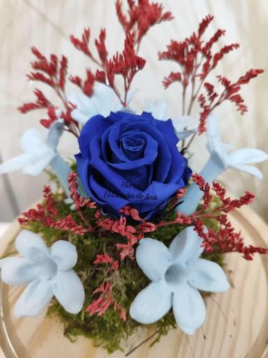 Composición Hope desde