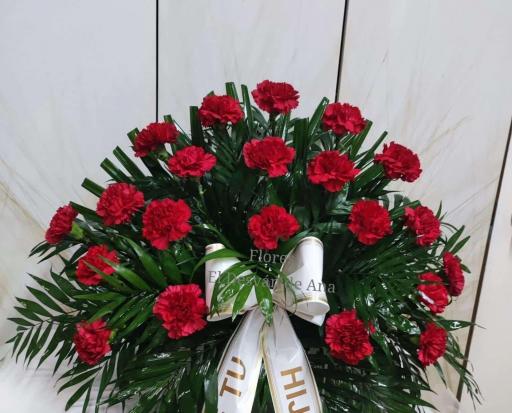 Centro 20 Clavel rojo 