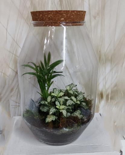Terrario Bosque