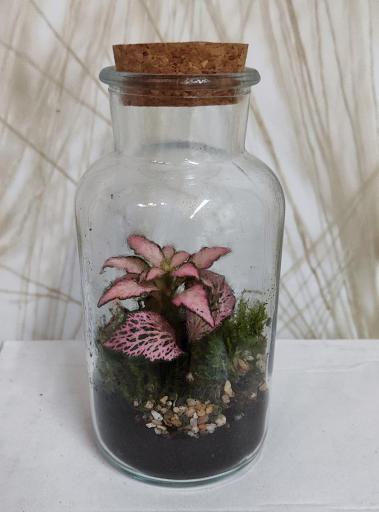 Terrarium Green Cristal