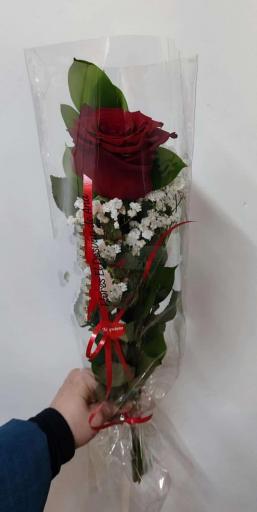 Rosa  roja  en tienda