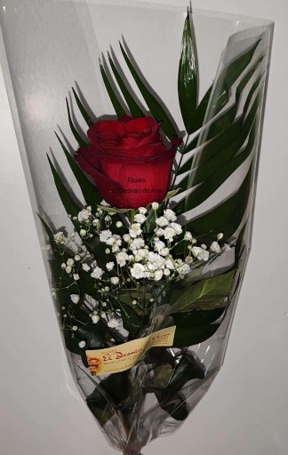 Rosa  roja  en tienda