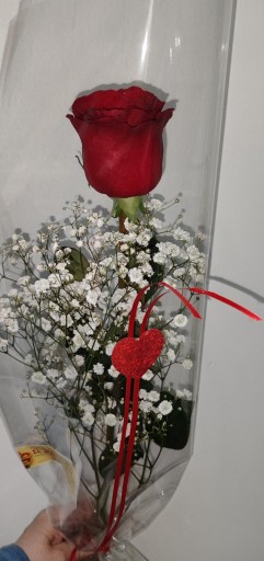 Rosa  roja  en tienda