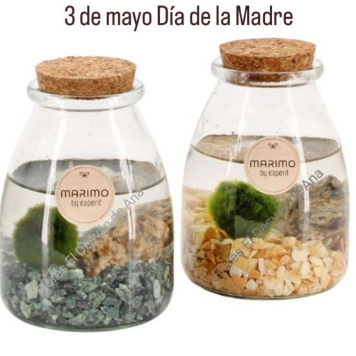 Terrarium marino