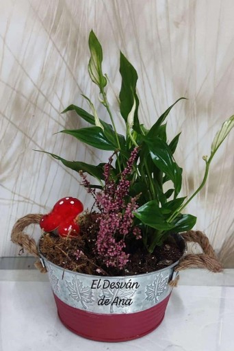 Dulce encanto