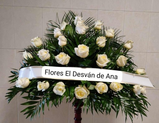 Centro Rosblan desde
