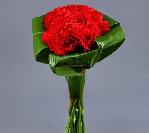 Ramo compacto Aspi de clavel ROJO desde