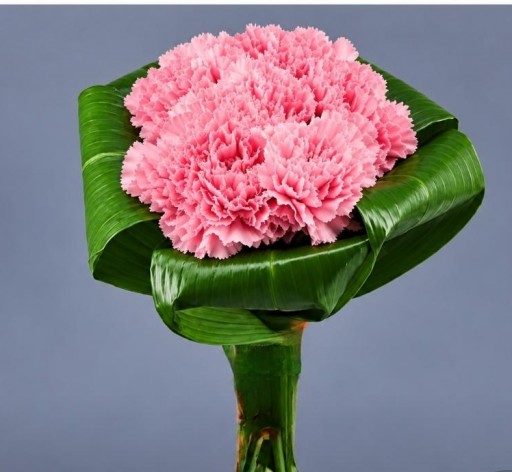 Ramo compacto clavel ROSA desde [0]