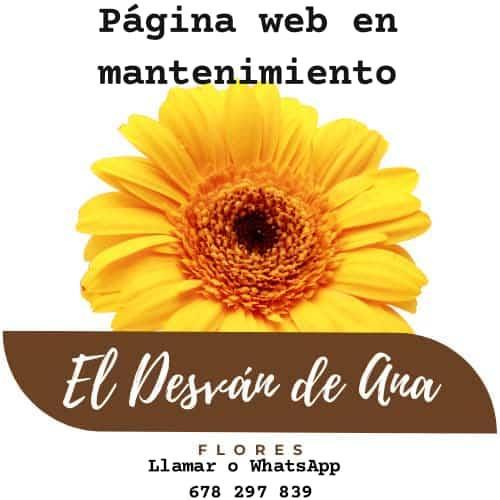 WEB EN MANTENIMIENTO PROXIMAMENTE ABRIREMOS 