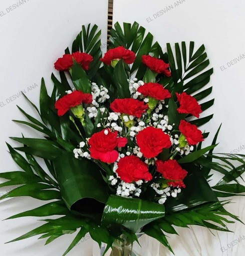 Ramo Clavel y Aspi desde