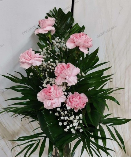 Ramo ASPI 6 clavelRosa