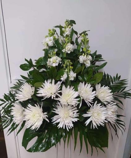 Centro Anastasia [0]