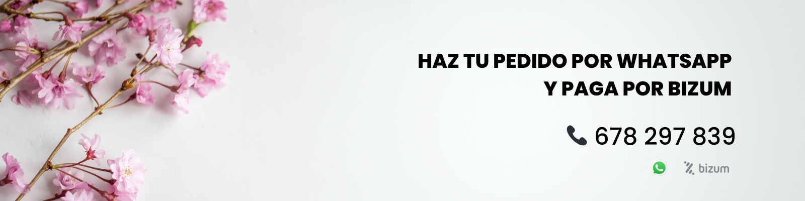 Banner eldesvandeana.png