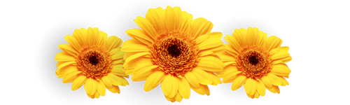 Diseño sin título (42).png