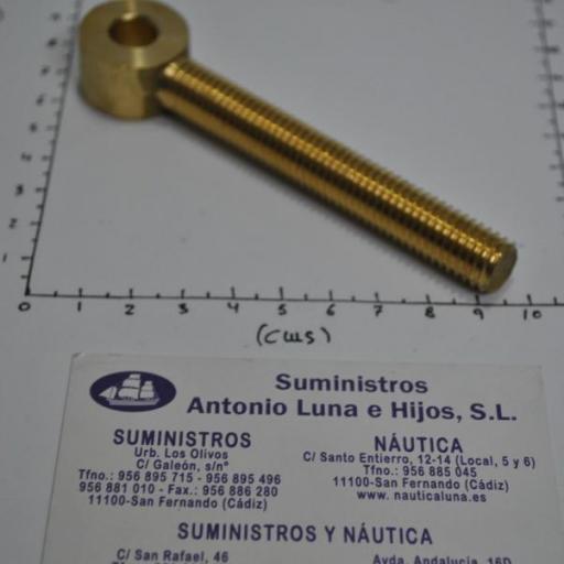 Tornillo con ojo Din-444 de latón de M12 x 95 mm [5]