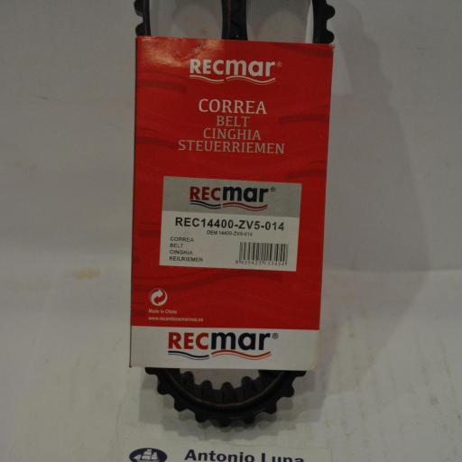 Correa de distribución (equivalente Honda) REC14400-ZV5-014 RecMar [1]