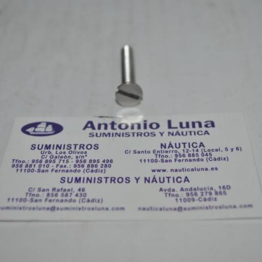 Tornillo Din-963 de acero inoxidable A4 (AISI-316) con rosca métrica [2]