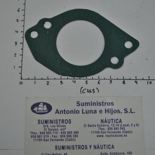 Junta del carburador (equivalente 16221-ZW1-000 Honda) RecMar