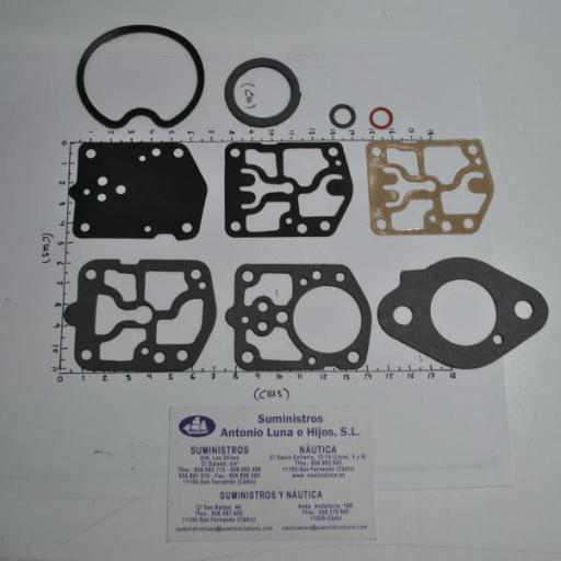 Kit de juntas del carburador (equivalente 1395-9024 Mercury) RecMar