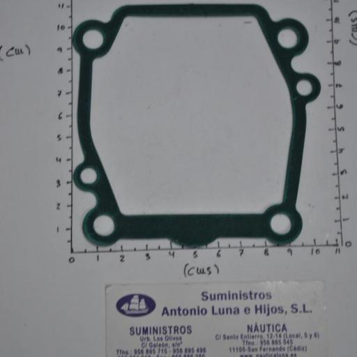 Junta de la placa de la bomba de agua (equivalente 17472-87E10 Suzuki) RecMar