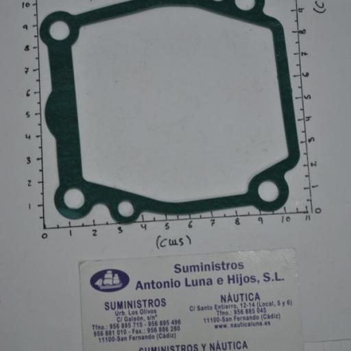 Junta de la placa de la bomba de agua (equivalente 17472-87E10 Suzuki) RecMar [1]