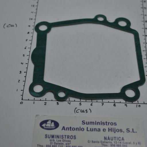 Junta de la placa de la bomba de agua (equivalente 17472-87E10 Suzuki) RecMar [2]