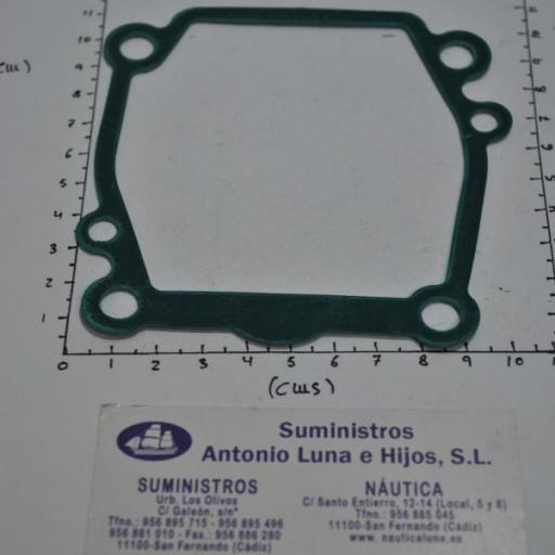 Junta de la placa de la bomba de agua (equivalente 17472-87E10 Suzuki) RecMar [4]