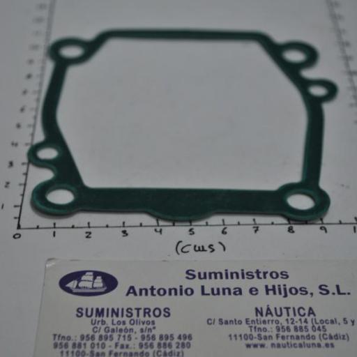 Junta de la placa de la bomba de agua (equivalente 17472-87E10 Suzuki) RecMar [5]
