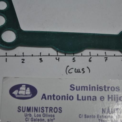 Junta de la placa de la bomba de agua (equivalente 17472-87E10 Suzuki) RecMar [7]