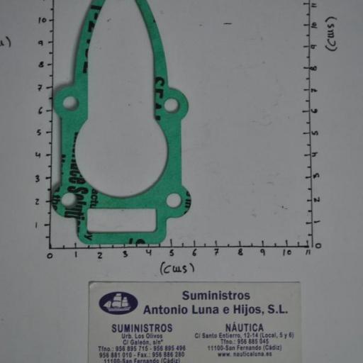 Junta de la bomba de agua (equivalente 8M0072139 Mercury) Parsun