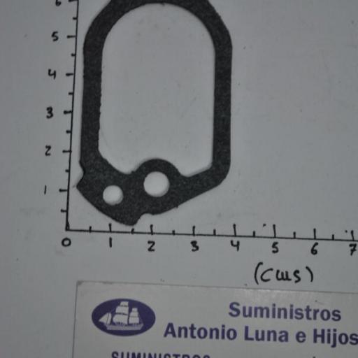 Junta de la tapa del termostato (equivalente 61A-12414-A0 Yamaha) RecMar [2]